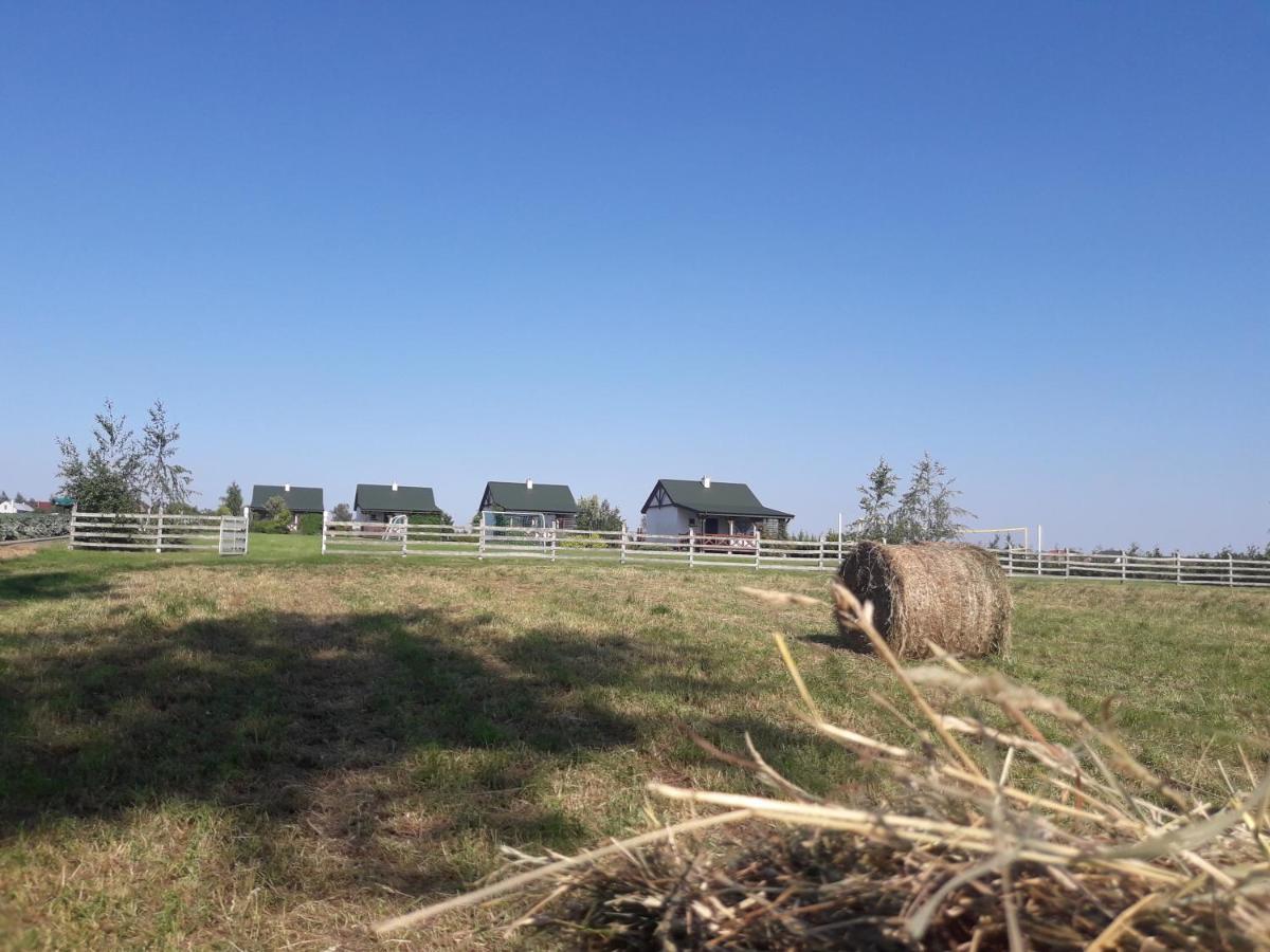 Letnisko Nad Jeziorem Skulsk Buitenkant foto